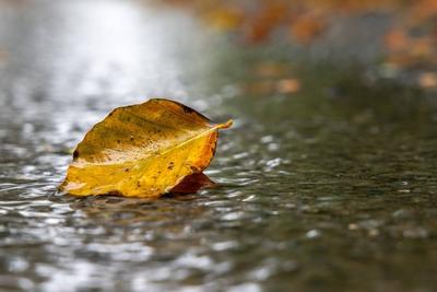 Sturmtief Detlef im Taunus-stock-foto