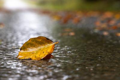 Sturmtief Detlef im Taunus-stock-foto