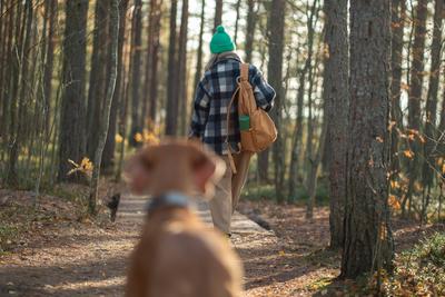 Frau geht mit Hund spazieren und genie?t die Natur auf einem ?kologischen Pfad im skandinavischen Naturpark im Wald.-stock-foto