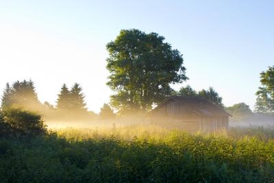 Morgennebel ueber einer Wiese, Deutschland, Hessen morning mist over a meadow, Germany, Hesse BLWS517049 Copyright: xbl-stock-foto