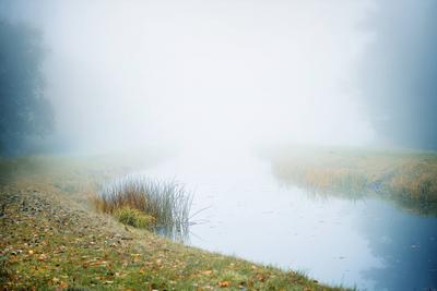 Flussufer mit Gras und Segge auf ruhigem Wasser im Nebel an einem Herbstmorgen, stimmungsvolle Landschaft in Norddeutschland, gro?fl?chige Kopie-stock-foto