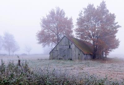 Feldscheune im Nebel, Deutschland, Niedersachsen barn on the field in mist, Germany, Lower Saxony BLWS522399 Copyright:-stock-foto