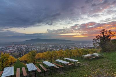 Klosterneuburg Abbey and town, vineyard Klosterneuburg Wienerwald, Vienna Woods Nieder?sterreich, Lower Austria Austria-stock-foto