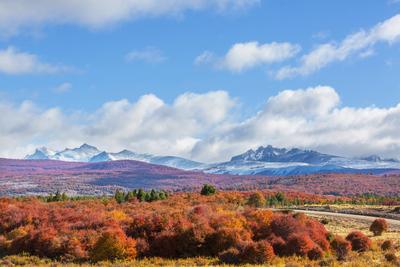 Autumn in Patagonia Autumn season in Patagonia mountains, South America, Argentina Copyright: xZoonar.com/GalynaxAndrush-stock-foto