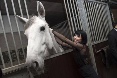 Furusiyya FEI Nations Cup Jumping Final 2015 Equestrian - Furusiyya FEI Nations Cup Jumping Final 2015 - Barcelona - 26/-stock-foto