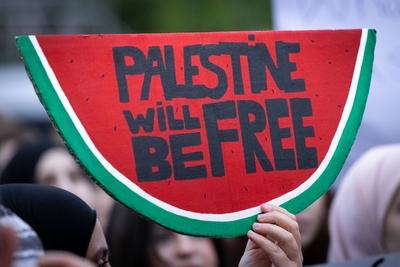 Nahostkonflikt - Pro-Pal?stina Kundgebung in Frankfurt am Main-stock-foto