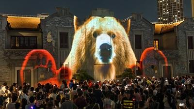 Shining Shanghai" International Light and Shadow Art Competition-stock-foto