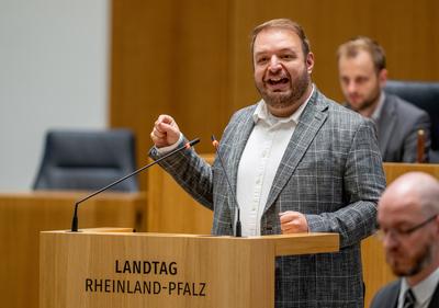 Damian Lohr AFD spricht im Landtag-stock-foto