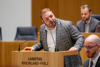 Damian Lohr AFD spricht im Landtag-stock-foto