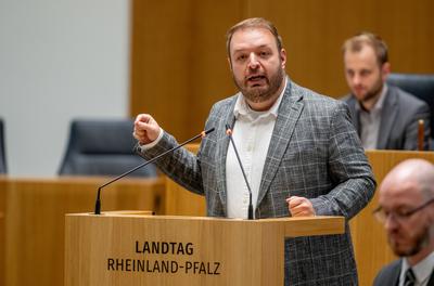 Damian Lohr AFD spricht im Landtag-stock-foto
