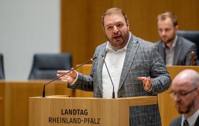 Damian Lohr AFD spricht im Landtag-stock-foto