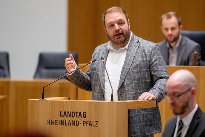 Damian Lohr AFD spricht im Landtag-stock-foto