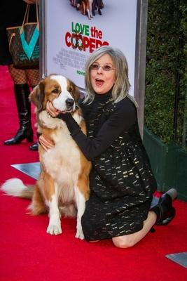 Diane Keaton and Bolt LOS ANGELES PREMIERE OF LOVE THE COOPERS Los Angeles PUBLICATIONxNOTxINxUSAxUK-stock-foto
