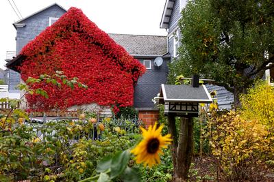 Herbst im Siegerland-stock-foto