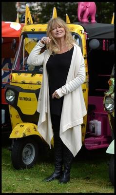 01 06 2015 London United Kingdom American Actress Goldie Hawn launches Travels To My Elephant a-stock-foto