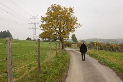 Herbst im Siegerland-stock-foto