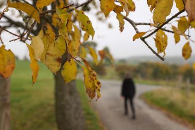 Herbst im Siegerland-stock-foto