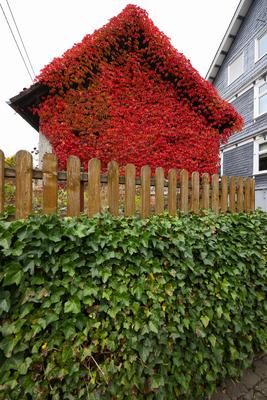 Herbst im Siegerland-stock-foto