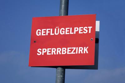 Schild Geflügelpest Sperrbezirk Schild Geflügelpest Sperrbezirk, 07.06.2023, Prignitz, Brandenburg, An einem Pfahl befin-stock-foto