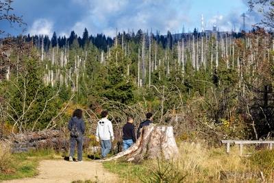 13.10.2025 An Deutschlands ?ltester Talsperre, dem Oderteich im Landkreis Goslar in Niedersachsen im Nationalpark Harz,-stock-foto