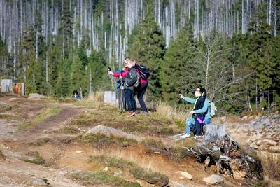 13.10.2025 An Deutschlands ?ltester Talsperre, dem Oderteich bei Clausthal-Zellerfeld im Landkreis Goslar in Niedersachs-stock-foto