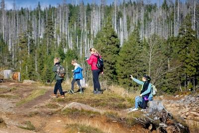 13.10.2025 An Deutschlands ?ltester Talsperre, dem Oderteich bei Clausthal-Zellerfeld im Landkreis Goslar in Niedersachs-stock-foto