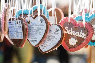 Impressionen von der Oberschwabenschau in Ravensburg 2025.-stock-foto