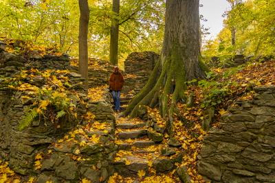 Klosterpark Altzella im Herbst-stock-foto