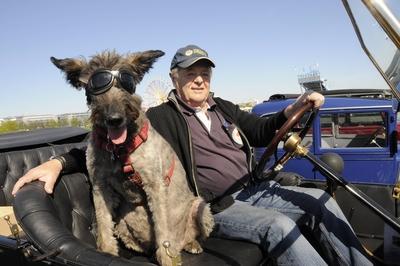 Bildnummer: 52979001  Datum: 19.04.2009  Copyright: imago/LindenthalerRudi Batzer mit Hund Anka in seinem Oldtimer - Ford Tin Lizy - Baujahr 1913 w?hrend eines Oldtimer-Treffs auf dem Fr?hlingsfest auf der Theresienwiese in M?nchen, Personen , Tiere , Objekte; 2009, M?nchen, Deutschland, Treff, Rallye, Auto, Fahrzeug,; , quer, Kbdig, Einzelbild,  ,  , Bayern, Europa, o0 TeilnehmerBildnummer 52979001 Date 19 04 2009 Copyright Imago Linden Thaler Rudi Batzer with Dog Anka in his Oldtimer Ford Tin Lizy Built 1913 during a Oldtimer Meetings on the Spring Festival on the Theresienwiese in Munich People Animals Objects 2009 Munich Germany Meeting Rally Car Vehicle horizontal Kbdig Single Bavaria Europe o0 Participants-stock-foto