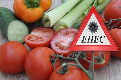 Bildnummer: 55398234  Datum: 26.05.2011  Copyright: imago/Sven SimonEHEC Erreger in Gem?se (Fotomontage) Erreger in Gem?se, ,Infektion,Frisches Gem?se -  Gem?se,Tomate,Tomaten,Gurke,Gurken,Sellerie,Lebensmittel,Essen.vegetarisch.FOTOMONTGE. Gesellschaft Gesundheit Gem?se Salat Krankheit kbdig xdp 2011 quer Gem?se,frisch,frisches,roh o0 Enteroh?morrhagische Escherichia coli Bakterium DarmbakteriumBildnummer 55398234 Date 26 05 2011 Copyright Imago Sven Simon EHEC Pathogens in Vegetables Photo montage Pathogens in Vegetables Infection fresh Vegetables Vegetables Tomato Tomatoes Cucumber Cucumbers Celery Food Eat vegetarian FOTOMONTGE Society Health Vegetables Salad Disease Kbdig XDP 2011 horizontal Vegetables Fresh fresh raw o0 Enterohemorrhagic Escherichia Coli Bacterium Intestinal bacteria-stock-foto