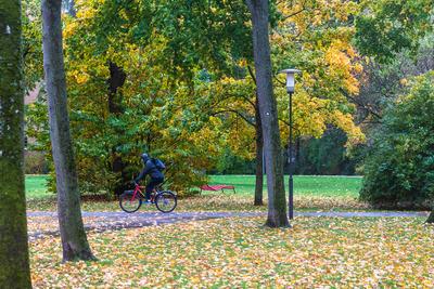 ?Joshua? mit Regen und Wind, N?rnberg, 24.10.2025-stock-foto