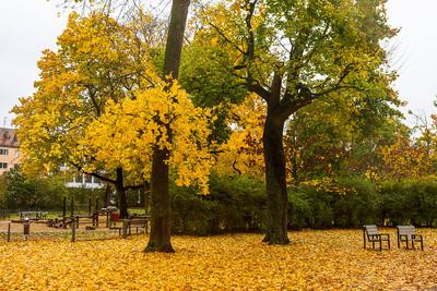 ?Joshua? mit Regen und Wind, N?rnberg, 24.10.2025-stock-foto