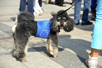 Feature Symbol Demonstration von Pulse of Europe 04 17 thg Veranstaltung der B?rgerinitiative Pul-stock-foto