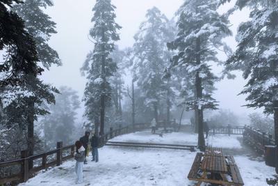CHENGDU, CHINA - OCTOBER 26: Tourists enjoy leisure on Xiling Snow Mountain amid a snowfall on October 26, 2025 in Cheng-stock-foto