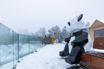CHENGDU, CHINA - OCTOBER 26: Tourists enjoy leisure on Xiling Snow Mountain amid a snowfall on October 26, 2025 in Cheng-stock-foto