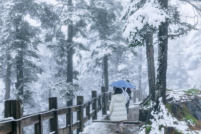 CHENGDU, CHINA - OCTOBER 26: Tourists enjoy leisure on Xiling Snow Mountain amid a snowfall on October 26, 2025 in Cheng-stock-foto