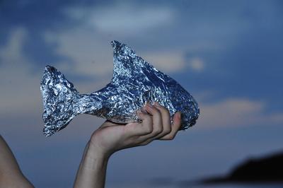 marine animals or seafood to consume-stock-foto