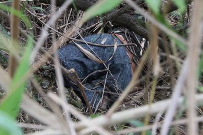 Residents recover bodies in the woods after a major operation in the Alemao and Penha favela complexes.-stock-foto