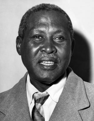 Bildnummer: 55850681  Datum: 01.01.2011  Copyright: imago/United ArchivesOctober 1961: 62-years old Zulu Chief Albert John Luthuli, the grandson of a pagan chief and a son of a missionary has been awarded the Nobel Peace Prize. He has spent many years working for the African and now lives in a small zulu reserve at Groutville, near Durban, among the who elected him chief in 1935. Mono Print kbdig 2011 hoch Illustrated World History Bildnummer 55850681 Date 01 01 2011 Copyright Imago United Archives October 1961 62 Years Old Zulu Chief Albert John Luthuli The grandson of a Pagan Chief and a Sun of a Missionary has been awarded The Nobel Peace Prize he has spent MANY Years Working for The African and Now Lives in a Small Zulu Reserve AT Groutville Near Durban among The Who Elected HIM Chief in 1935 Mono Print Kbdig 2011 vertical Illustrated World History-stock-foto