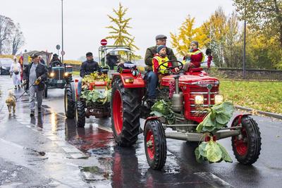 Eltville, Rheingau, Hesen, Deutschland, 01.11.2025. Eltviller Kappeskerb und Weinlesefest.-stock-foto