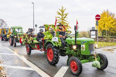 Eltville, Rheingau, Hesen, Deutschland, 01.11.2025. Eltviller Kappeskerb und Weinlesefest.-stock-foto