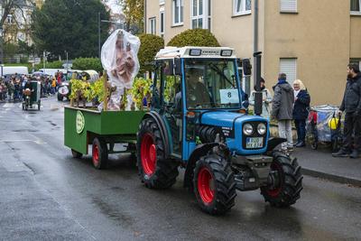 Eltville, Rheingau, Hesen, Deutschland, 01.11.2025. Eltviller Kappeskerb und Weinlesefest.-stock-foto