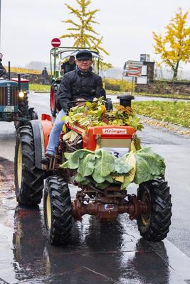 Eltville, Rheingau, Hesen, Deutschland, 01.11.2025. Eltviller Kappeskerb und Weinlesefest.-stock-foto