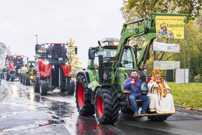 Eltville, Rheingau, Hesen, Deutschland, 01.11.2025. Eltviller Kappeskerb und Weinlesefest.-stock-foto