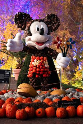 Eine Micky Maus Figur aus K?rbissen wird auf den ?Leuchtenden Traumpfaden? im Bl?hende Barock des Schloss Ludwigsburg be-stock-foto