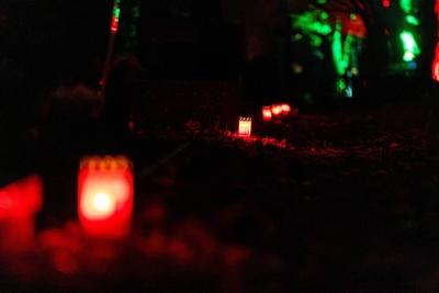 02.11.2025, GER, News / Veranstaltung / Kultur, Licht unf Klang auf dem Hauptfriedhof Eisenach-stock-foto