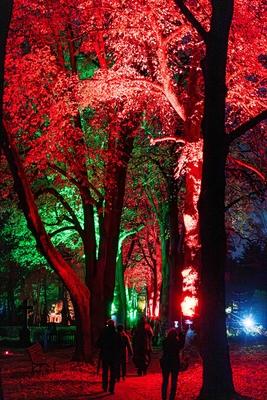 02.11.2025, GER, News / Veranstaltung / Kultur, Licht unf Klang auf dem Hauptfriedhof Eisenach-stock-foto