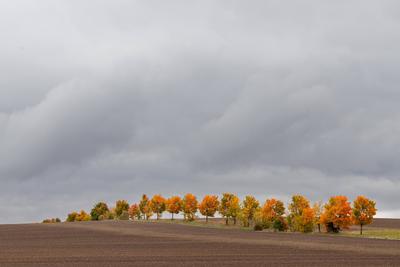 IMAGO Creative: Herbst, Laubverf?rbung Herbststimmung Bilder aus dem Harz Herbststimmung Bilder aus dem Harz Copyright:-stock-foto