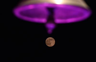 Beaver Moon Shines Bright In New Delhi-stock-foto