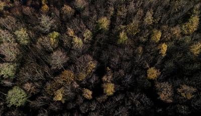 Tutzing, Starnberger See-stock-foto